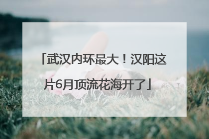 武汉内环最大！汉阳这片6月顶流花海开了