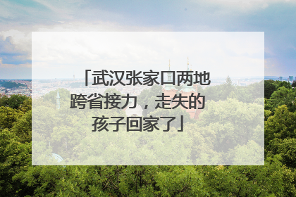 武汉张家口两地跨省接力，走失的孩子回家了