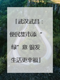 武汉武昌：便民集市添“绿”意 银发生活更幸福