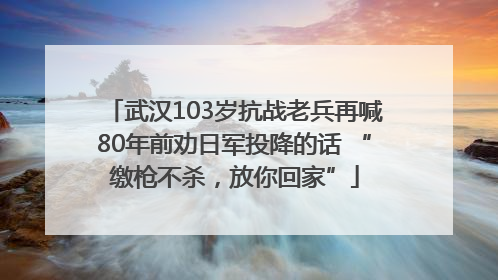 武汉103岁抗战老兵再喊80年前劝日军投降的话 “缴枪不杀，放你回家”