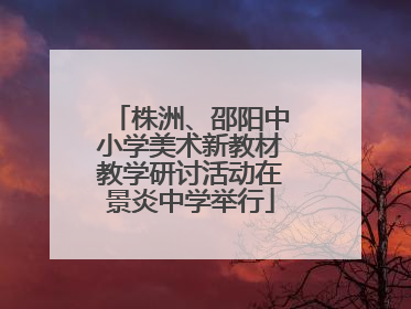 株洲、邵阳中小学美术新教材教学研讨活动在景炎中学举行