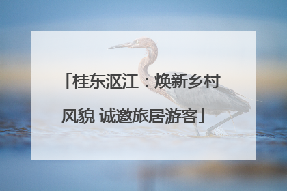 桂东沤江：焕新乡村风貌 诚邀旅居游客