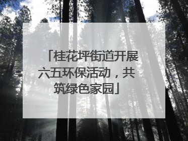 桂花坪街道开展六五环保活动，共筑绿色家园