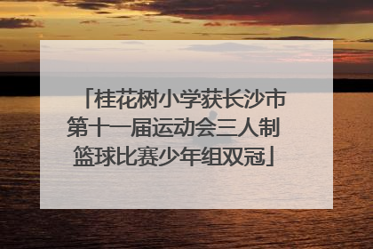 桂花树小学获长沙市第十一届运动会三人制篮球比赛少年组双冠