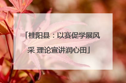 桂阳县：以赛促学展风采 理论宣讲润心田