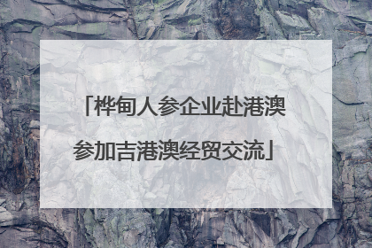 桦甸人参企业赴港澳参加吉港澳经贸交流
