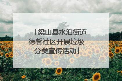 梁山县水泊街道德馨社区开展垃圾分类宣传活动
