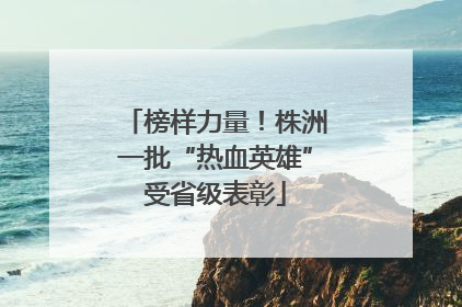 榜样力量！株洲一批“热血英雄”受省级表彰
