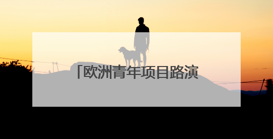 欧洲青年项目路演代表团走进天津