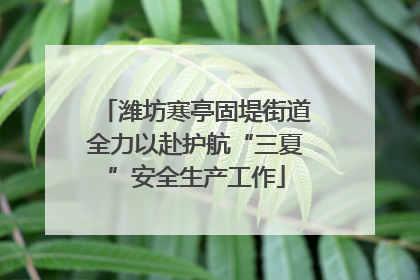 潍坊寒亭固堤街道全力以赴护航“三夏”安全生产工作