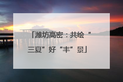 潍坊高密：共绘“三夏”好“丰”景