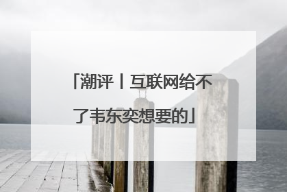潮评丨互联网给不了韦东奕想要的
