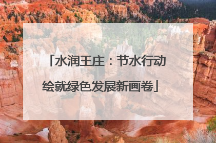 水润王庄：节水行动绘就绿色发展新画卷
