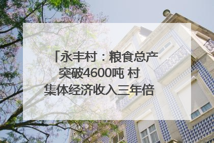 永丰村：粮食总产突破4600吨 村集体经济收入三年倍增｜牵挂的村