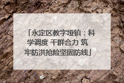 永定区教字垭镇：科学调度 干群合力 筑牢防洪抢险坚固防线