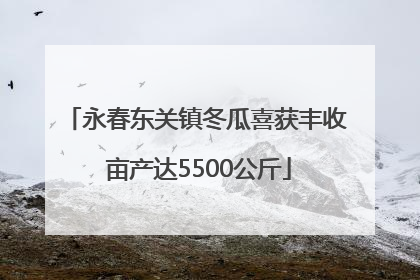 永春东关镇冬瓜喜获丰收 亩产达5500公斤