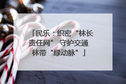 民乐：织密“林长责任网” 守护交通林带“绿动脉”