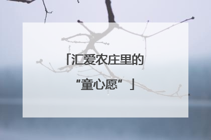 汇爱农庄里的“童心愿”