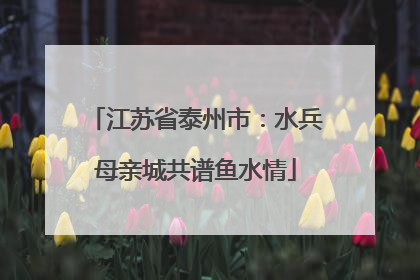 江苏省泰州市：水兵母亲城共谱鱼水情