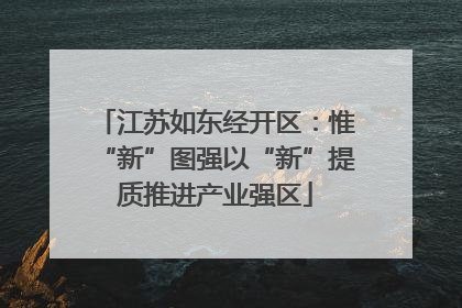 江苏如东经开区：惟“新”图强以“新”提质推进产业强区