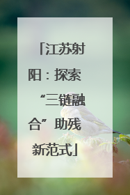 江苏射阳：探索“三链融合”助残新范式