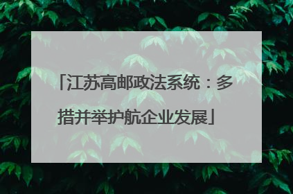 江苏高邮政法系统：多措并举护航企业发展