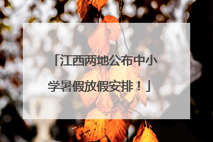 江西两地公布中小学暑假放假安排！