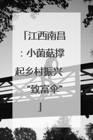 江西南昌：小菌菇撑起乡村振兴“致富伞”