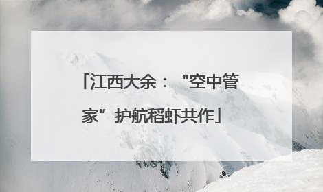 江西大余：“空中管家”护航稻虾共作