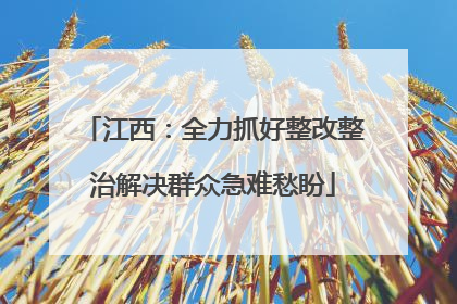 江西：全力抓好整改整治解决群众急难愁盼