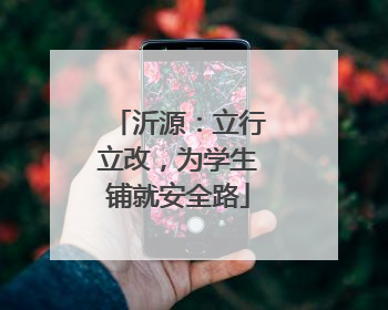 沂源：立行立改，为学生铺就安全路