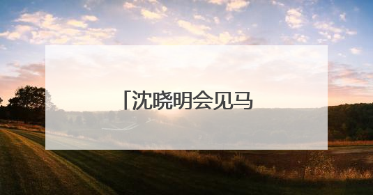沈晓明会见马达加斯加外交部长拉萨塔一行