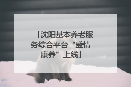 沈阳基本养老服务综合平台“盛情康养”上线