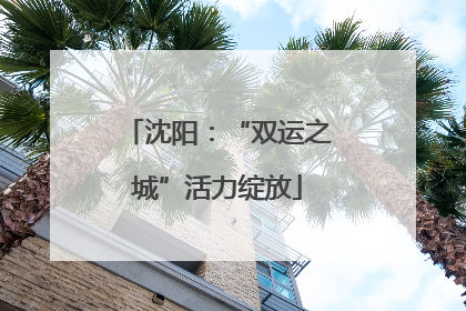 沈阳：“双运之城”活力绽放