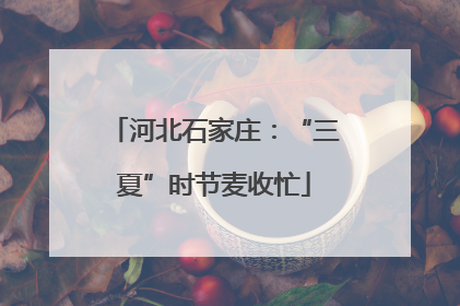 河北石家庄：“三夏”时节麦收忙