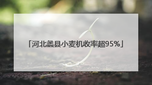 河北蠡县小麦机收率超95%