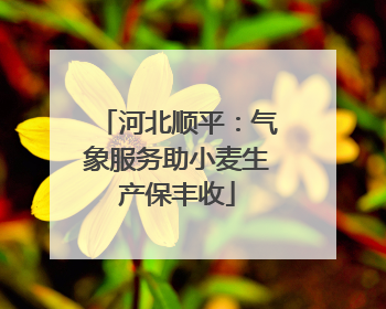 河北顺平：气象服务助小麦生产保丰收