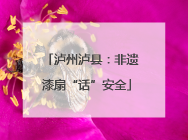 泸州泸县：非遗漆扇“话”安全