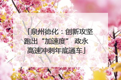 泉州德化：创新攻坚跑出“加速度” 政永高速冲刺年底通车