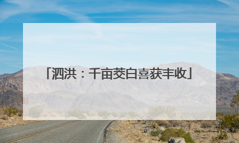 泗洪：千亩茭白喜获丰收