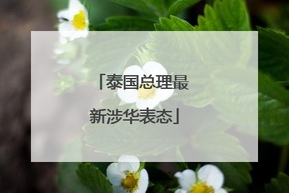 泰国总理最新涉华表态