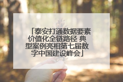 泰安打通数据要素价值化全链路径 典型案例亮相第七届数字中国建设峰会