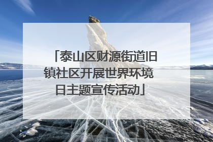 泰山区财源街道旧镇社区开展世界环境日主题宣传活动