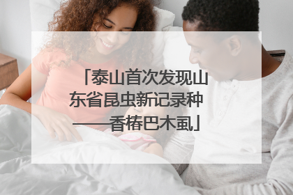 泰山首次发现山东省昆虫新记录种——香椿巴木虱