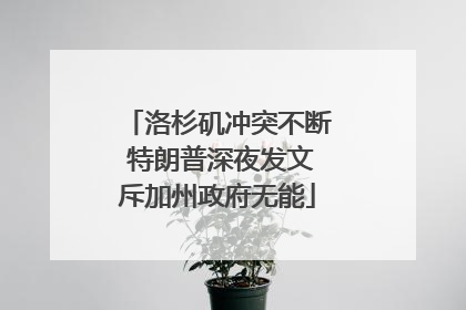 洛杉矶冲突不断 特朗普深夜发文斥加州政府无能