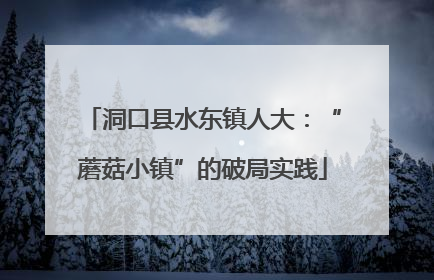 洞口县水东镇人大：“蘑菇小镇”的破局实践