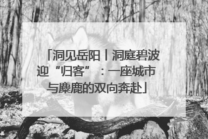 洞见岳阳丨洞庭碧波迎“归客”：一座城市与麋鹿的双向奔赴