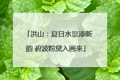 洪山：夏日水景添新韵 碧波粉黛入画来