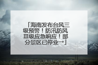 海南发布台风三级预警！防汛防风Ⅲ级应急响应！部分景区已停业→
