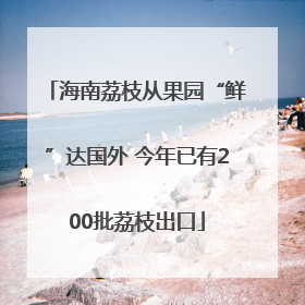 海南荔枝从果园“鲜”达国外 今年已有200批荔枝出口